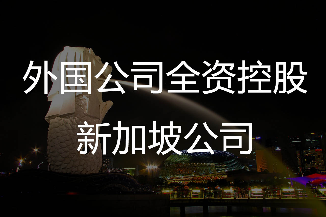 外国公司全资控股新加坡公司的基本要求