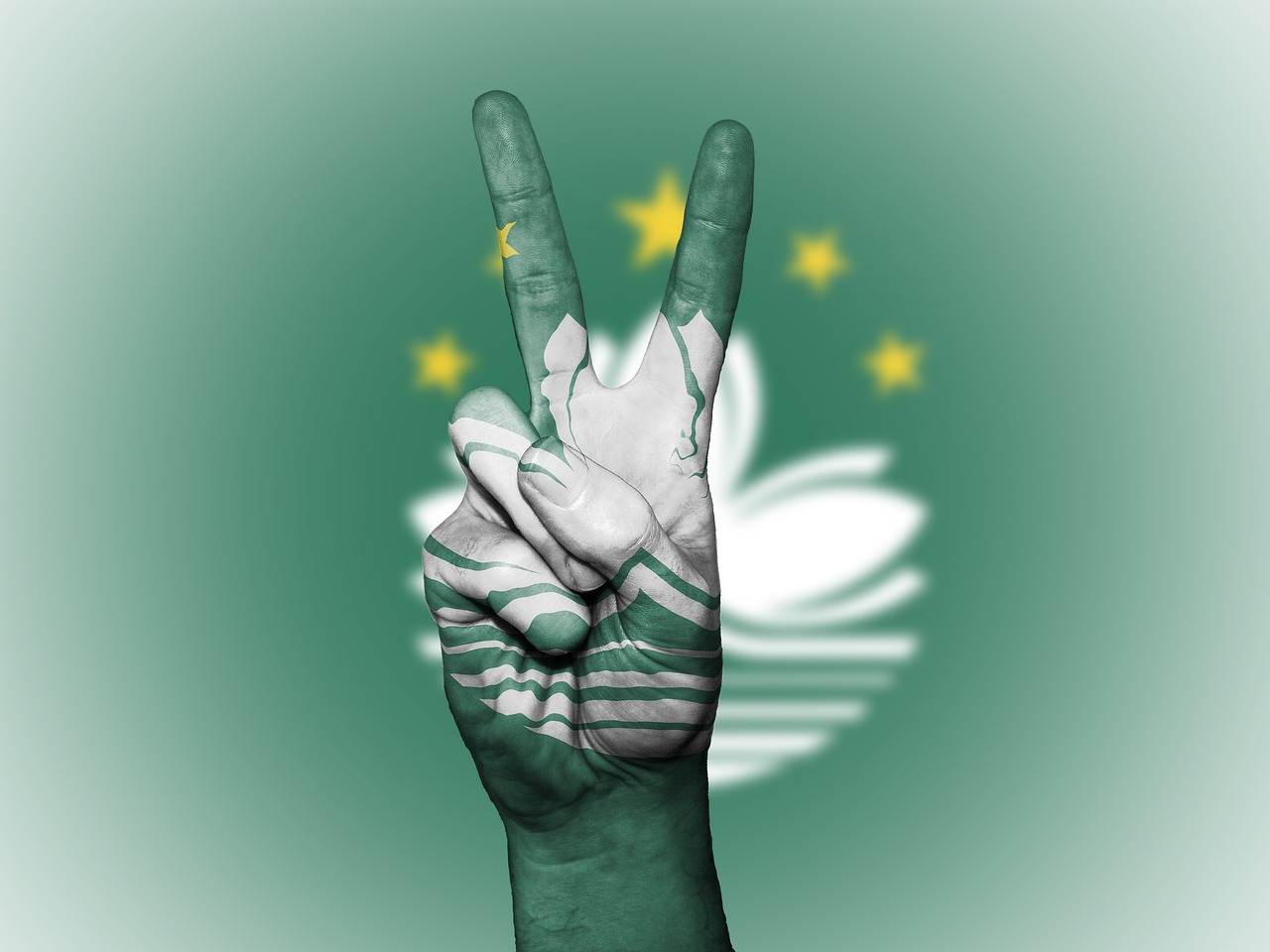 澳门公司注册